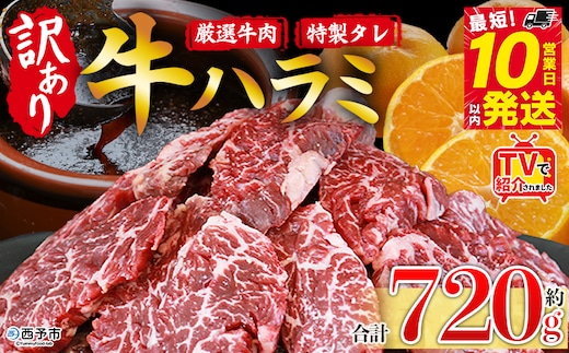TVで紹介！＜秘伝の特製タレ仕込み！やわらか味付き 牛ハラミ 約720g（360g×2）＞ テレビ TV 訳あり はらみ ハラミ 赤身 大容量 牛肉 お肉 焼肉 BBQ 味付き タレ漬け 甘辛 レシピ 丼 献立 惣菜 おかず 簡単 グルメ 株式会社丸和 愛媛県 西予市【冷凍】『最短10営業日以内に順次出荷』