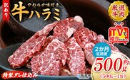 TVで紹介！＜秘伝の特製タレ仕込み！やわらか味付き 牛ハラミ 約500g（500g×1） 2か月定期便＞ テレビ TV 訳あり はらみ ハラミ 赤身 大容量 牛肉 お肉 焼肉 BBQ 味付き タレ漬け 甘辛 レシピ 丼 献立 惣菜 おかず 簡単 グルメ 株式会社丸和 愛媛県 西予市【冷凍】『入金確認後、お申込み月の翌月より配送を開始します』