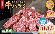 TVで紹介！＜麹熟成で旨み引き立つ！やわらか味付き 牛ハラミ 約500g（500g×1） 2か月定期便＞ テレビ TV 訳あり はらみ ハラミ 赤身 大容量 牛肉 お肉 焼肉 BBQ 味付き 麹 コスパ 塩味 レシピ 丼 献立 惣菜 おかず 簡単 グルメ 株式会社丸和 愛媛県 西予市【冷凍】『入金確認後、お申込み月の翌月より配送を開始します』