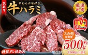 TVで紹介！＜秘伝の特製タレ仕込み！やわらか味付き 牛ハラミ 約500g（500g×1） 3か月定期便＞ テレビ TV 訳あり はらみ ハラミ 赤身 大容量 牛肉 お肉 焼肉 BBQ 味付き タレ漬け 甘辛 レシピ 丼 献立 惣菜 おかず 簡単 グルメ 株式会社丸和 愛媛県 西予市【冷凍】『入金確認後、お申込み月の翌月より配送を開始します』