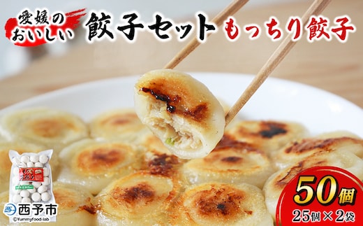 ＜愛媛のおいしい餃子セット もっちり餃子 合計50個(25個×2袋)＞ぎょうざ ギョーザ 餃子 国産 丸餃子 もっちり 国産野菜 ブランド豚 鍋 浅野食品 愛媛県 西予市【冷凍】『1か月以内に順次出荷予定』