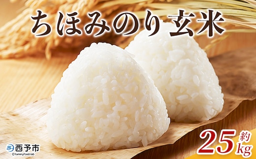 新米＜令和7年産 ちほみのり 玄米 25kg＞げんまい 米 こめ コメ ご飯 穀物 25キロ 産地直送 愛媛県産 西予市産 特産品 やまこのうえん 愛媛県 西予市【常温】『2025年9月上旬より順次出荷予定』