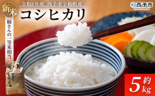 【先行予約】新米 ＜令和8年産 コシヒカリ 約5kg 西予市宇和町産＞ 通常 白米 精米 楠さんの一等米相当 お米 ご飯 愛媛県 西予市【常温】『2026年9月上旬から順次出荷予定』