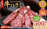 TVで紹介！＜秘伝の特製タレ仕込み！やわらか味付き 牛ハラミ 約500g（500g×1） 6か月定期便＞ テレビ TV 訳あり はらみ ハラミ 赤身 大容量 牛肉 お肉 焼肉 BBQ 味付き タレ漬け 甘辛 レシピ 丼 献立 惣菜 おかず 簡単 グルメ 株式会社丸和 愛媛県 西予市【冷凍】『入金確認後、お申込み月の翌月より配送を開始します』