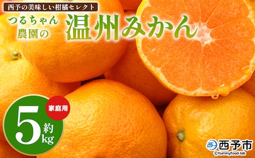 ＜西予の美味しい柑橘セレクト（ご家庭用）／つるちゃん農園のみかん（約5kg）＞ 果物 くだもの フルーツ 蜜柑 みかん ミカン 柑橘 ご家庭用 温州みかん 食べて応援 国産 愛媛県産 特産品 西予みかん倶楽部 愛媛県 西予市『11月頃から1月頃までに順次出荷予定』【常温】