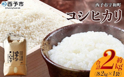 ＜令和7年産 西予市宇和町産 コシヒカリ 約2kg＞ お米 コメ こめ 白米 精米 単一原料米 ご飯 白飯 ごはん 穀物 コシヒカリ こしひかり 朝食 特産品 愛媛県産 西予市産 宇和町産 三好フク【常温】『2025年9月中旬より順次出荷予定』