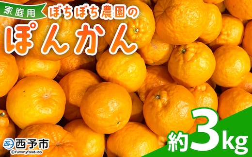 ＜ぼちぼち農園のぽんかん 家庭用 約3kg＞ 3キロ ぽんかん ポンカン 訳あり わけあり ワケアリ 果物 みかん ミカン 柑橘 フルーツ 生産量日本一 国産 特産品 ぼちぼち農園 愛媛県 西予市【常温】『2026年1月～2月迄に順次出荷予定』