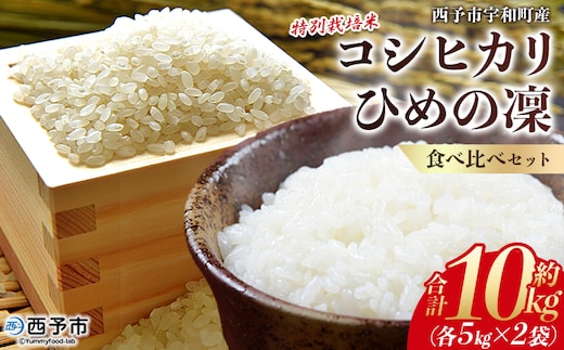 新米＜令和7年産 西予市宇和町産 特別栽培米コシヒカリ・ひめの凜 食べ比べセット（各約5kg）＞ お米 コメ こめ 白米 精米 単一原料米 穀物 こしひかり ひめのりん 朝食 低農薬 特産品 三好フク 愛媛県【常温】『1か月以内に順次出荷予定』