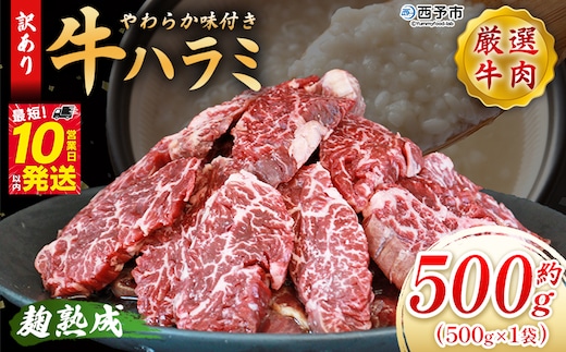 ＜麹熟成で旨み引き立つ！やわらか味付き 牛ハラミ 約500g（500g×1）＞ 訳あり はらみ ハラミ 赤身 大容量 牛肉 お肉 焼肉 BBQ 味付き 麹 コスパ 塩味 レシピ 丼 献立 惣菜 おかず 簡単 グルメ 株式会社丸和 愛媛県 西予市【冷凍】『最短10営業日以内に順次出荷』