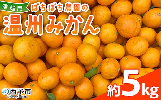 ＜ぼちぼち農園の温州みかん 家庭用 5kg＞ 5キロ うんしゅうみかん 温州ミカン 訳あり わけあり ワケアリ 果物 みかん ミカン 柑橘 フルーツ 国産 特産品 ぼちぼち農園 愛媛県 西予市【常温】『2025年11月～12月迄に順次出荷予定』