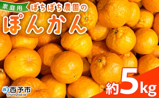 ＜ぼちぼち農園のぽんかん 家庭用 約5kg＞ 5キロ ぽんかん ポンカン 訳あり わけあり ワケアリ 果物 みかん ミカン 柑橘 フルーツ 生産量日本一 国産 特産品 ぼちぼち農園 愛媛県 西予市【常温】『2026年1月～2月迄に順次出荷予定』