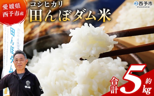 新米＜令和7年産 愛媛県西予市産 コシヒカリ 田んぼダム米 5kg＞ 5キロ こしひかり 西予応援米 宇和米 お米 コメ こめ 白米 精米 米 国産 愛媛県産 宇和町産 和みファーム 愛媛県 西予市【常温】『2025年10月・11月頃から順次発送予定』