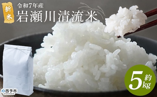 ＜令和7年産 新米 岩瀬川清流米 コシヒカリ 5kg＞ 5キロ こしひかり お米 コメ こめ 白米 精米 ご飯 穀物 鮮度 特産品 愛媛県産 西予市産 宇和町産 OTSUKAFARM 愛媛県 西予市 【常温】『2025年9月下旬から順次出荷予定』