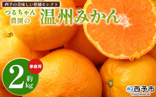 【予約受付】＜西予の美味しい柑橘セレクト（ご家庭用）／つるちゃん農園のみかん（約2kg）＞ 【11月頃から2027年1月中旬頃までに順次出荷予定】果物 くだもの フルーツ 蜜柑 みかん ミカン 柑橘 ご家庭用 温州みかん 食べて応援 国産 愛媛県産 特産品 西予みかん倶楽部 愛媛県 西予市【常温】
