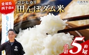 新米＜令和7年産 愛媛県西予市産 コシヒカリ 田んぼダム米 5kg＞ 5キロ こしひかり 西予応援米 宇和米 お米 コメ こめ 白米 精米 米 国産 愛媛県産 宇和町産 和みファーム 愛媛県 西予市【常温】『2025年10月・11月頃から順次発送予定』