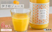 ＜無茶々園の伊予柑ジュース 720ml 6本＞『1か月以内に順次出荷予定』柑橘 果物 オレンジ フルーツ ストレート 果汁100% 伊予柑 いよかん イヨカン 丸ごと 甘み 甘味 酸味 バランスがいい 飲んで応援 特産品 無茶々園 愛媛県 西予市 【常温】