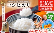 【先行予約】＼みかんもついてくる！／新米 ＜令和8年産 コシヒカリ 約10kg 3回定期便 ＋（定期便のみ）温州みかん2kg 西予市宇和町産＞ 白米 精米 楠さんの一等米相当 選べる 配送回数 お米 ご飯 愛媛県 西予市【常温】『2026年9月上旬から順次出荷予定』