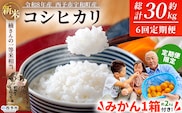 【先行予約】＼みかんもついてくる！／新米 ＜令和8年産 コシヒカリ 約5kg 6回定期便 ＋（定期便のみ）温州みかん2kg 西予市宇和町産＞ 白米 精米 楠さんの一等米相当 選べる 配送回数 お米 ご飯 愛媛県 西予市【常温】『2026年9月上旬から順次出荷予定』