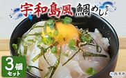 ＜愛媛の鯛めし（宇和島風）3個セット＞ 愛媛の鯛めし 鯛 真鯛 まだい マダイ 天然真鯛 郷土料理 丼 ごはん 魚介 海の幸 海鮮 YNコーポレーション 愛媛県 西予市【冷凍】