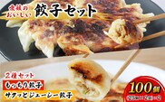 ＜愛媛のおいしい餃子セット 2種セット 合計100個(各種25個×2袋)＞ぎょうざ ギョーザ 餃子 国産 もっちり餃子 サクッとジューシー餃子 もっちり パリッ ジューシー 丸餃子 国産野菜 ブランド豚 鍋 浅野食品 愛媛県 西予市【冷凍】『1か月以内に順次出荷予定』