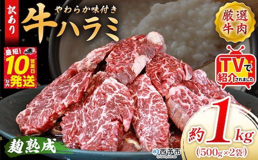 TVで紹介！＜麹熟成で旨み引き立つ！やわらか味付き 牛ハラミ 約1kg（500g×2）＞ テレビ TV 訳あり はらみ ハラミ 赤身 大容量 牛肉 お肉 焼肉 BBQ 味付き 麹 コスパ 塩味 レシピ 丼 献立 惣菜 おかず 簡単 グルメ 株式会社丸和 愛媛県 西予市【冷凍】『最短10営業日以内に順次出荷』