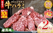 TVで紹介！＜麹熟成で旨み引き立つ！やわらか味付き 牛ハラミ 約2kg（500g×4）＞ テレビ TV 訳あり はらみ ハラミ 赤身 大容量 牛肉 お肉 焼肉 BBQ 味付き 麹 コスパ 塩味 レシピ 丼 献立 惣菜 おかず 簡単 グルメ 株式会社丸和 愛媛県 西予市【冷凍】『最短10営業日以内に順次出荷』