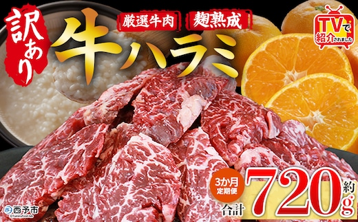 TVで紹介！＜麹熟成で旨み引き立つ！やわらか味付き 牛ハラミ 約720g（360g×2） 3か月定期便＞ テレビ TV 訳あり はらみ ハラミ 赤身 大容量 牛肉 お肉 焼肉 BBQ 味付き 麹 コスパ 塩味 レシピ 丼 献立 惣菜 おかず 簡単 グルメ 株式会社丸和 愛媛県 西予市【冷凍】『入金確認後、お申込み月の翌月より配送を開始します』