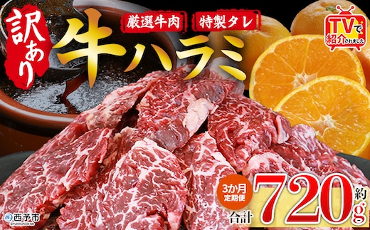 TVで紹介！＜秘伝の特製タレ仕込み！やわらか味付き 牛ハラミ 約720g（360g×2） 3か月定期便＞ テレビ TV 訳あり はらみ ハラミ 赤身 大容量 牛肉 お肉 焼肉 BBQ 味付き タレ漬け 甘辛 レシピ 丼 献立 惣菜 おかず 簡単 グルメ 株式会社丸和 愛媛県 西予市【冷凍】『入金確認後、お申込み月の翌月より配送を開始します』