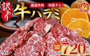 TVで紹介！＜秘伝の特製タレ仕込み！やわらか味付き 牛ハラミ 約720g（360g×2） 3か月定期便＞ テレビ TV 訳あり はらみ ハラミ 赤身 大容量 牛肉 お肉 焼肉 BBQ 味付き タレ漬け 甘辛 レシピ 丼 献立 惣菜 おかず 簡単 グルメ 株式会社丸和 愛媛県 西予市【冷凍】『入金確認後、お申込み月の翌月より配送を開始します』
