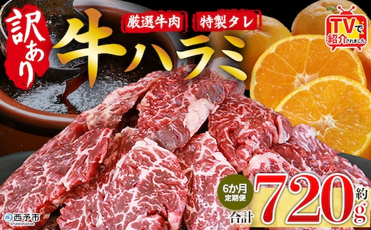 TVで紹介！＜秘伝の特製タレ仕込み！やわらか味付き 牛ハラミ 約720g（360g×2） 6か月定期便＞ テレビ TV 訳あり はらみ ハラミ 赤身 大容量 牛肉 お肉 焼肉 BBQ 味付き タレ漬け 甘辛 レシピ 丼 献立 惣菜 おかず 簡単 グルメ 株式会社丸和 愛媛県 西予市【冷凍】『入金確認後、お申込み月の翌月より配送を開始します』