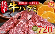 TVで紹介！＜秘伝の特製タレ仕込み！やわらか味付き 牛ハラミ 約720g（360g×2） 6か月定期便＞ テレビ TV 訳あり はらみ ハラミ 赤身 大容量 牛肉 お肉 焼肉 BBQ 味付き タレ漬け 甘辛 レシピ 丼 献立 惣菜 おかず 簡単 グルメ 株式会社丸和 愛媛県 西予市【冷凍】『入金確認後、お申込み月の翌月より配送を開始します』