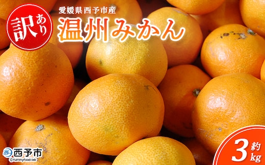 ＜西予市産 温州みかん 訳あり 約3kg＞ 蜜柑 ミカン 果物 フルーツ 柑橘 国産 愛媛県産 ご家庭用 自宅用 サイズ不揃い 3キロ 特産品 丸二青果 愛媛県 西予市【常温】『2025年11月～2026年1月迄に順次出荷予定』