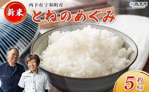 新米＜令和7年産 とねのめぐみ 約5kg 西予市宇和町産＞ 5キロ 白米 精米 お米 コメ こめ 宇和米 新米 うわまい ご飯 ごはん ライス 送料無料 産地直送 加茂ファーム 愛媛県 西予市【常温】『毎月15日迄のご寄附：当月末に発送／16日以降：翌月末』