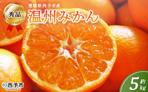 ＜西予市産 温州みかん 秀品 約5kg＞ 蜜柑 ミカン みかん 果物 フルーツ 柑橘 国産 愛媛県産 サイズおまかせ 5キロ うんしゅうみかん ウンシュウミカン 特産品 丸二青果 愛媛県 西予市【常温】『2025年11月～2026年1月迄に順次出荷予定』