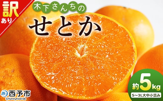 ＜木下さんちのせとか 訳あり 約5kg（S～3L大中小混み）＞ 訳アリ 家庭用 自宅用 柑橘 ミカン みかん 蜜柑 果物 くだもの フルーツ 国産 特産品 木下農園 愛媛県 西予市【常温】『2026年2月下旬～3月下旬に順次出荷』