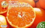 ＜西予市産 温州みかん 秀品 約5kg＞ 蜜柑 ミカン みかん 果物 フルーツ 柑橘 国産 愛媛県産 サイズおまかせ 5キロ うんしゅうみかん ウンシュウミカン 特産品 丸二青果 愛媛県 西予市【常温】『2025年11月～2026年1月迄に順次出荷予定』