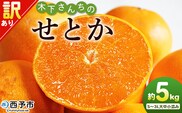 ＜木下さんちのせとか 訳あり 約5kg（S～3L大中小混み）＞ 訳アリ 家庭用 自宅用 柑橘 ミカン みかん 蜜柑 果物 くだもの フルーツ 国産 特産品 木下農園 愛媛県 西予市【常温】『2026年2月下旬～3月下旬に順次出荷』