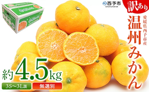 ＜愛媛県西予市産 訳あり 無選別 温州みかん 約4.5kg＞ 果物 くだもの フルーツ 柑橘 みかん 蜜柑 ミカン オレンジ 温州みかん 家庭用 サイズ混合 食べて応援 特産品 宇都宮物産 愛媛県 西予市【常温】『2025年10月中旬～2026年1月下旬迄に順次出荷予定』