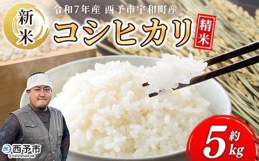 新米＜令和7年産 コシヒカリ 5kg＞国産 白米 精米 5キロ 愛媛県産 宇和町産 宇和米 うわまい こしひかり お米 米 コメ こめ ご飯 うわまい ライス 西予市産 産地直送 送料無料 特産品 福井ファーム 愛媛県 西予市【常温】『2025年12月中旬から順次発送予定』