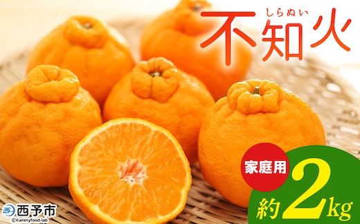 ＜不知火 家庭用 約2kg＞ 柑橘 みかん ミカン 蜜柑 果物 くだもの フルーツ しらぬい シラヌイ デコポン でこぽん 訳あり ご自宅用 国産 愛媛産 特産品 おれんじはーと 食べて応援 西宇和 愛媛県 西予市【常温】『2026年3月上旬～3月下旬に順次出荷予定』