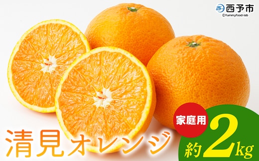 ＜清見オレンジ 家庭用 約2kg＞ 柑橘 みかん ミカン 蜜柑 果物 くだもの フルーツ きよみ キヨミ 訳あり ご自宅用 国産 愛媛産 特産品 おれんじはーと 食べて応援 西宇和 愛媛県 西予市【常温】『2026年3月上旬～3月下旬に順次出荷予定』
