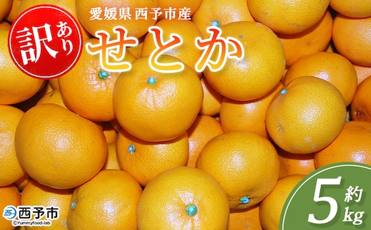 ＜訳あり せとか 約5kg＞蜜柑 ミカン みかん 果物 フルーツ 柑橘 柑橘の女王 果汁 ジューシー 国産 愛媛県産 西予市産 ご家庭用 自宅用 訳アリ 高級柑橘 特産品 丸二青果 愛媛県 西予市【常温】『2026年2月頃に順次出荷予定』