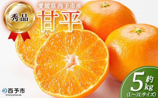 ＜秀品 甘平 (L～3Lサイズ) 約5kg＞蜜柑 ミカン みかん 果物 フルーツ 柑橘 かんぺい 果汁 ジューシー 果肉 国産 愛媛県産 西予市産 ギフト 贈答用 高級柑橘 特産品 丸二青果 愛媛県 西予市【常温】『2026年2月中旬～3月中旬頃に順次出荷予定』