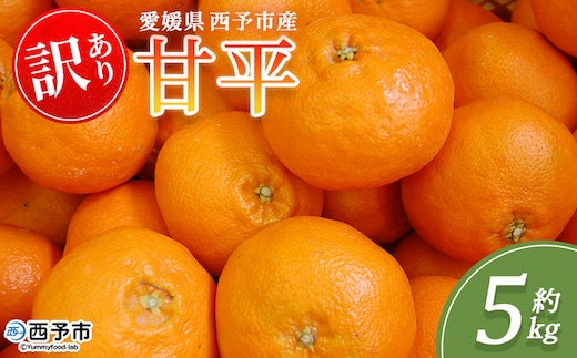 ＜訳あり 甘平 (サイズ混合) 約5kg＞蜜柑 ミカン みかん 果物 フルーツ 柑橘 かんぺい 果汁 ジューシー 果肉 国産 愛媛県産 西予市産 ご家庭用 自宅用 訳アリ 高級柑橘 特産品 丸二青果 愛媛県 西予市【常温】『2026年2月中旬～3月中旬頃に順次出荷予定』