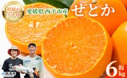 ＜せとか 約6kg＞ セトカ 柑橘の大トロ コク 旨み 薄皮 濃い甘み 愛媛県産 6キロ 果物 くだもの フルーツ ミカン みかん 蜜柑 濃厚 高級柑橘 国産 特産品 とりこ農園 愛媛県 西予市【常温】『2026年2月中旬～3月上旬に順次出荷予定』