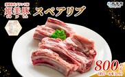 ＜愛媛県産 姫美豚 スペアリブ 約800g＞ ひめびとん 豚肉 ブランド豚 国産 骨付き肉 BBQ バーベキュー オーブン料理 煮込み キャンプ すぺありぶ 真空パック 真空冷凍 簡単調理 特産品 木村屋精肉店 愛媛県 西予市【冷凍】『2月以降に順次出荷予定』