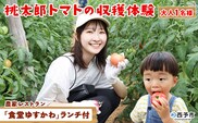 ＜桃太郎トマトの収穫体験（食堂ゆすかわのランチ付き）＞トマト収穫 体験 収穫 利用券 チケット 1名 1人 ランチ付き 桃太郎トマト トマト 持ち帰り 特産品 遊子川ザ・リコピンズ 愛媛県 西予市『1か月以内にチケット発送予定』