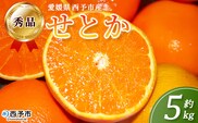 ＜秀品 せとか 約5kg＞蜜柑 ミカン みかん 果物 フルーツ 柑橘 柑橘の女王 果汁 ジューシー 国産 愛媛県産 西予市産 ギフト 贈答用 高級柑橘 特産品 丸二青果 愛媛県 西予市【常温】『2026年2月頃に順次出荷予定』