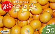 ＜訳あり せとか 約5kg＞蜜柑 ミカン みかん 果物 フルーツ 柑橘 柑橘の女王 果汁 ジューシー 国産 愛媛県産 西予市産 ご家庭用 自宅用 訳アリ 高級柑橘 特産品 丸二青果 愛媛県 西予市【常温】『2026年2月頃に順次出荷予定』