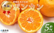 ＜秀品 ポンカン (M～Lサイズ) 約5kg＞蜜柑 ミカン みかん 果物 フルーツ 柑橘 ぽんかん 西宇和 果汁 ジューシー 果肉 国産 愛媛県産 西予市産 ギフト 贈答用 特産品 丸二青果 愛媛県 西予市【常温】『2026年1月～3月に順次出荷予定』